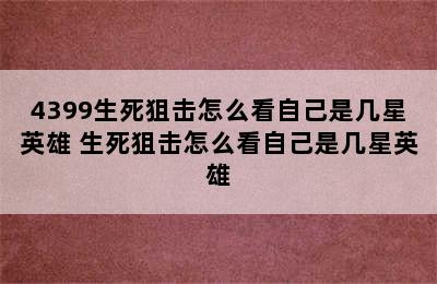 4399生死狙击怎么看自己是几星英雄 生死狙击怎么看自己是几星英雄